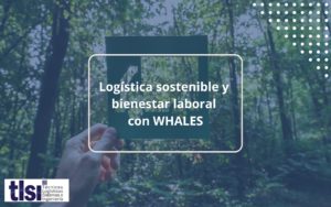 Logística sostenible y bienestar laboral con WHALES